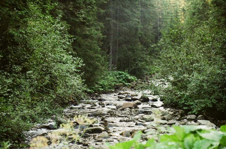 Image №0 from Карпаты