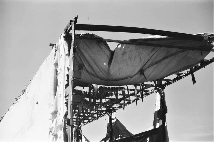 Page blacknwhite - image №2