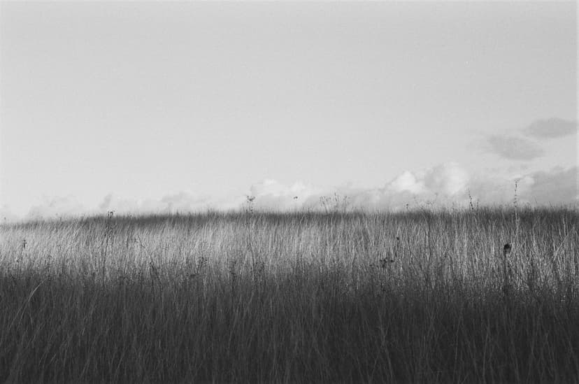 Page blacknwhite - image №8