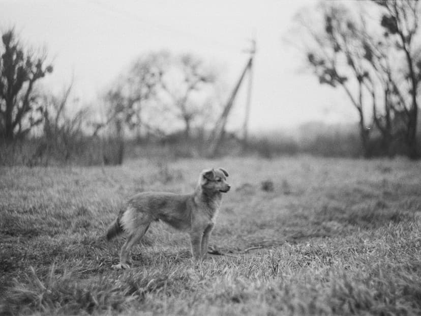 Page blacknwhite - image №15