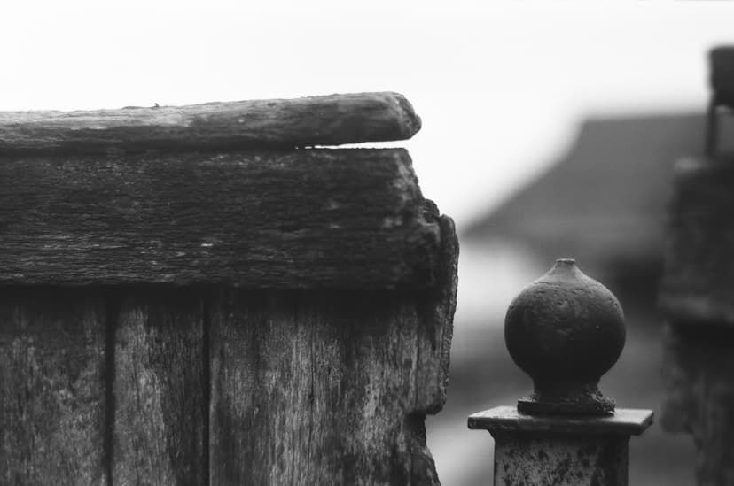 Page blacknwhite - image №0