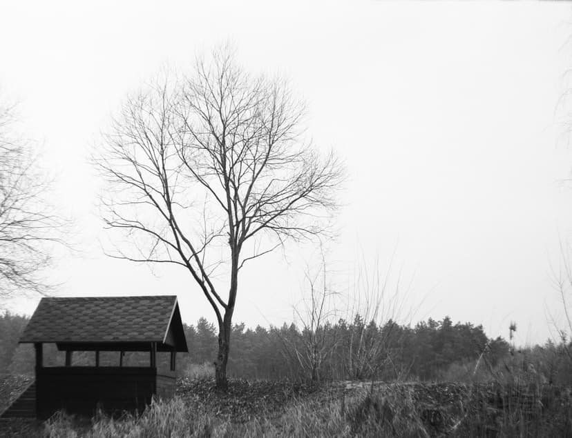 Page blacknwhite - image №18