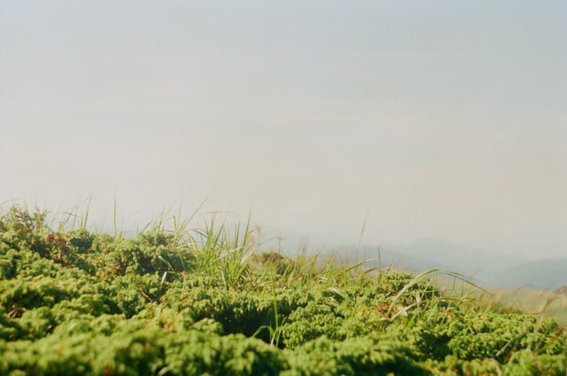 Page landscape - image №15