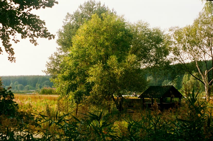 Page landscape - image №16