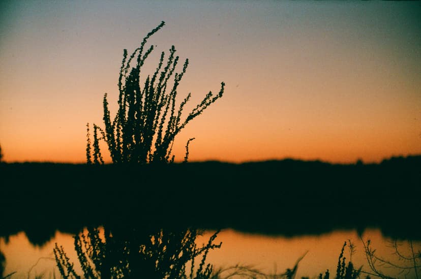 Page landscape - image №17