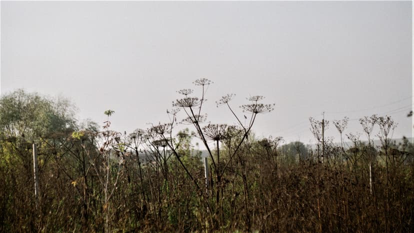 Page landscape - image №19