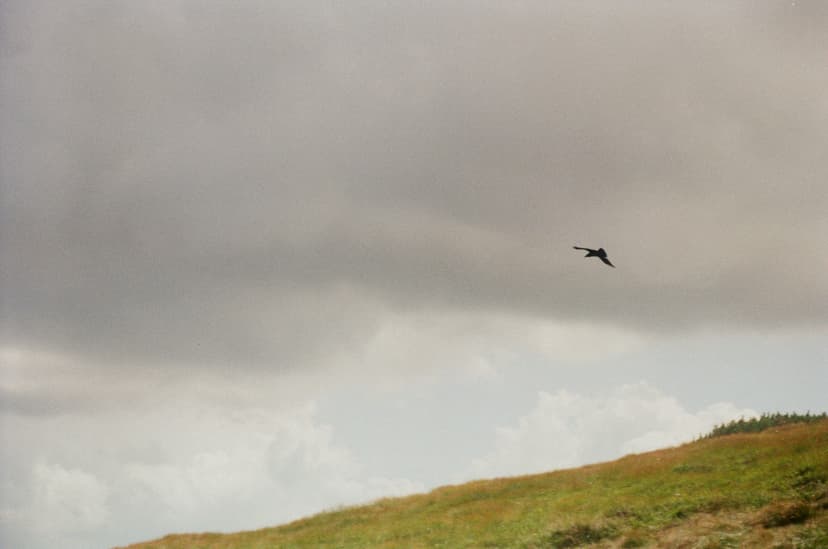 Page landscape - image №2