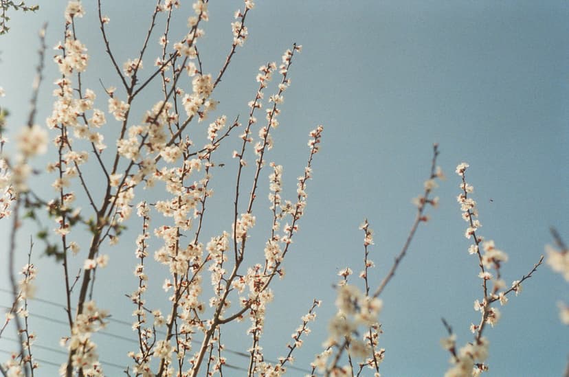 Page landscape - image №4