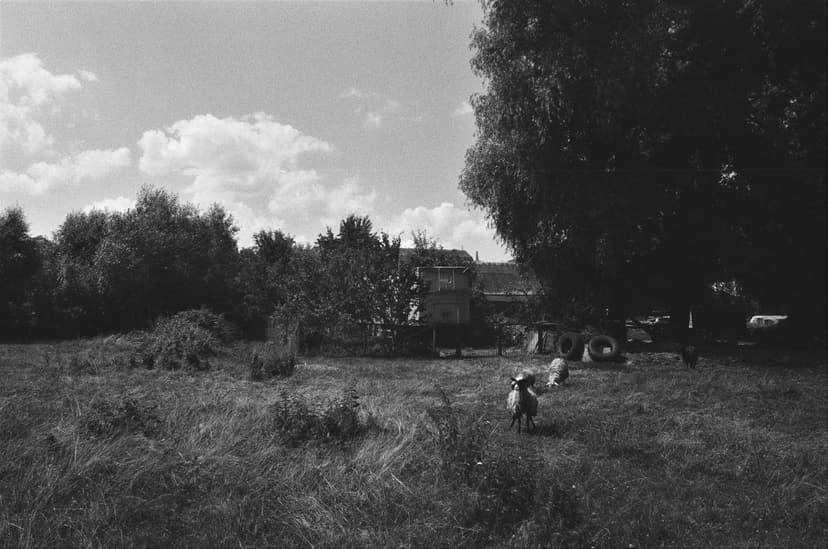 Page landscape - image №5