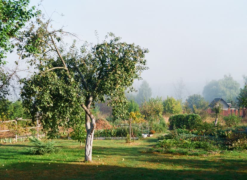 Page landscape - image №9