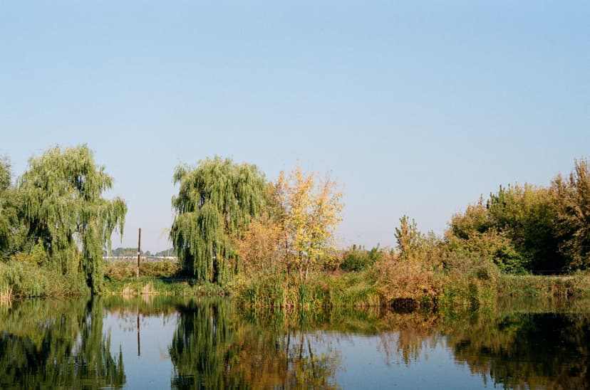 Page landscape - image №10