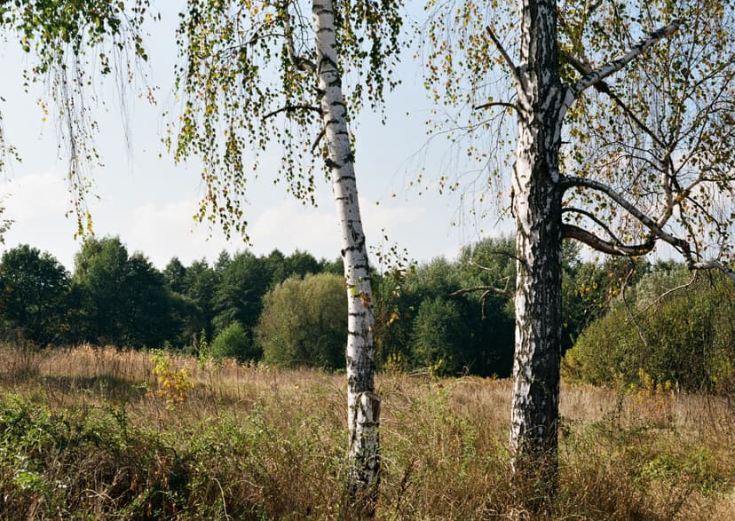 Page landscape - image №11