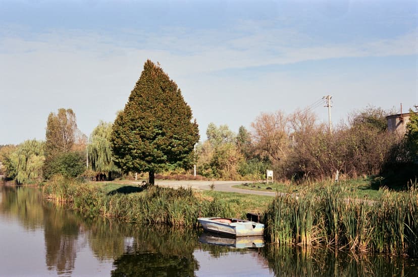 Page landscape - image №12