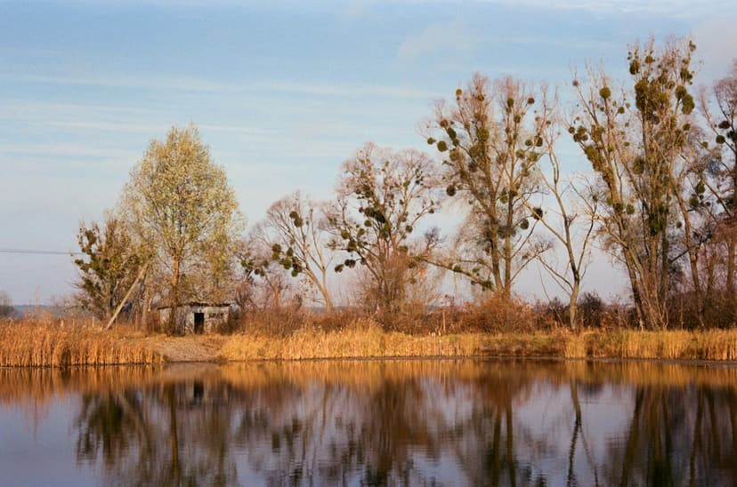 Page landscape - image №14