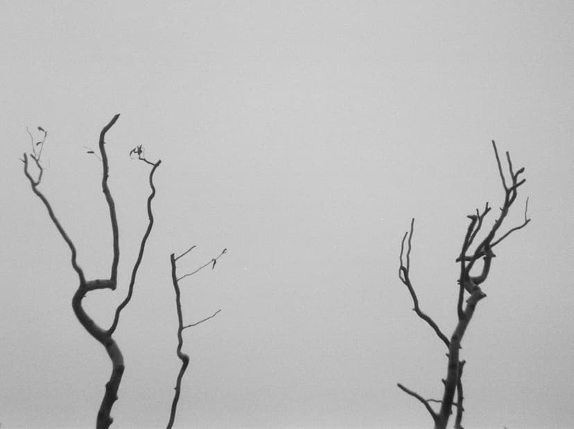 Page minimalism - image №7