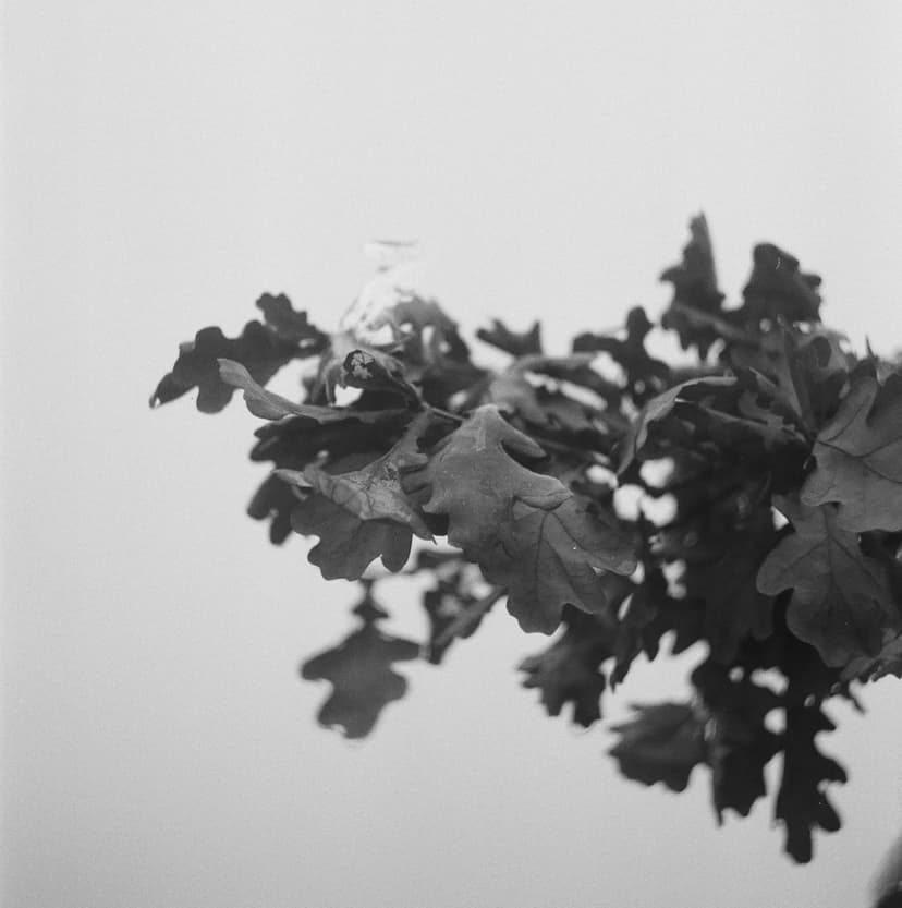 Page minimalism - image №8