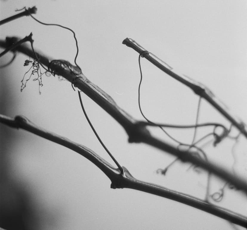 Page minimalism - image №10