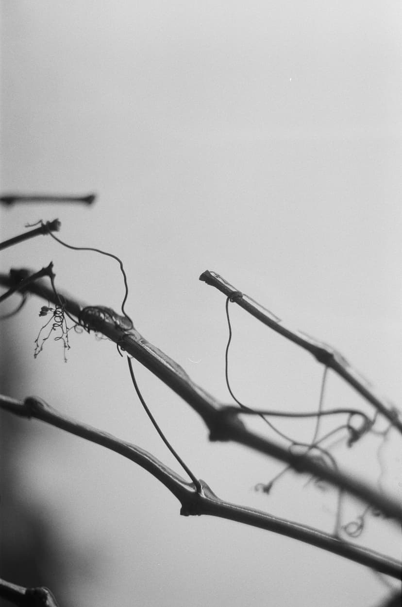 Page minimalism - image №0