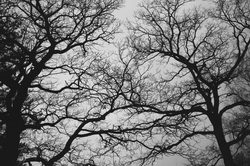 Page minimalism - image №3