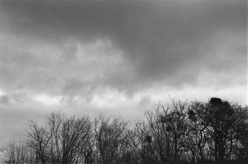 Page minimalism - image №6