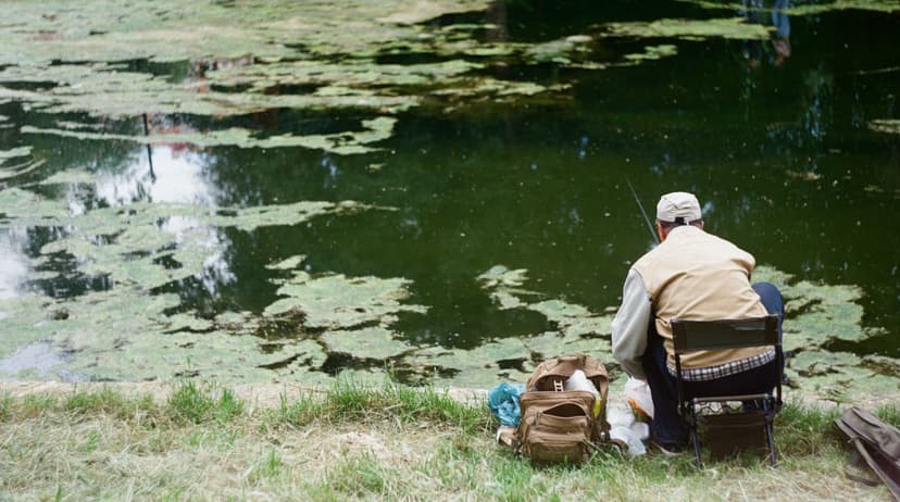 Page people - image №8