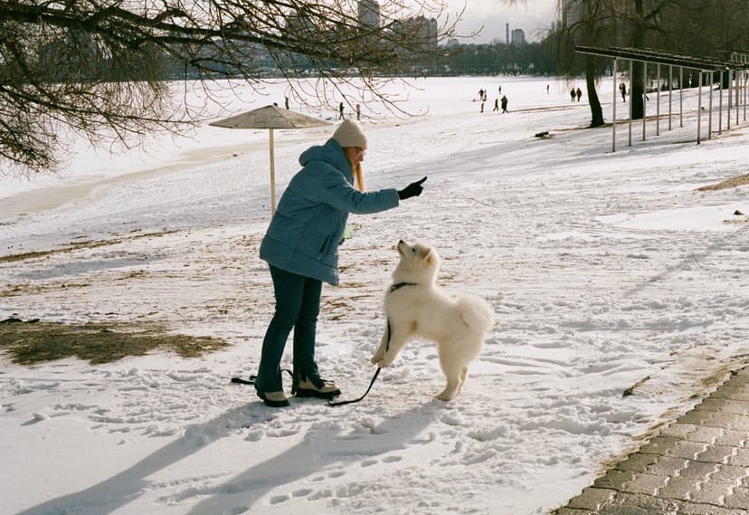 Page people - image №22