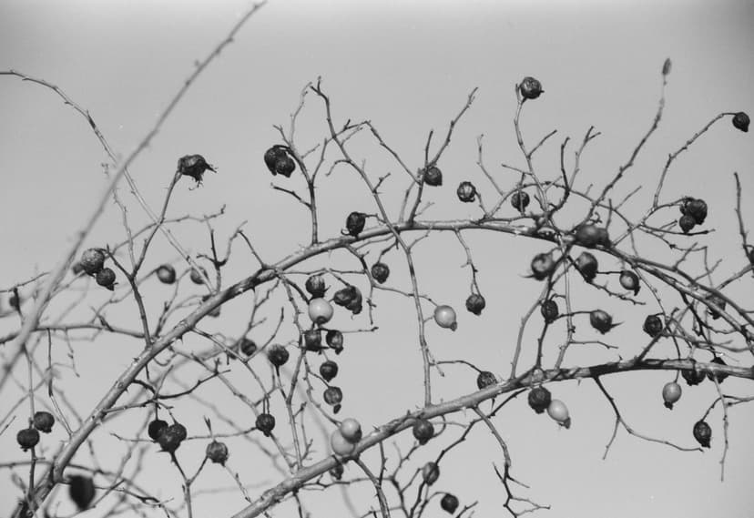 Page minimalism - image №13